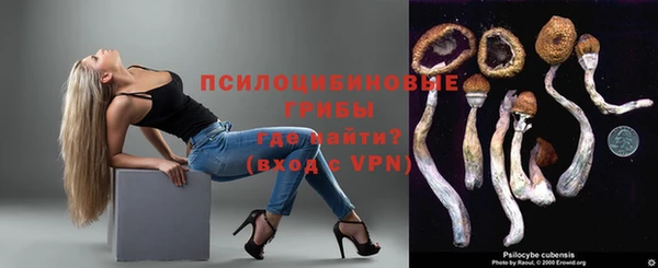 молекула духа Баксан