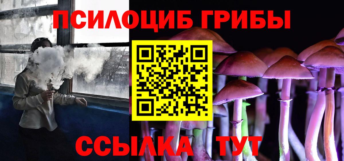 Псилоцибиновые грибы ЛСД Сегежа