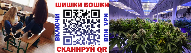 Бошки Шишки конопля Сегежа